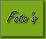 Foto's